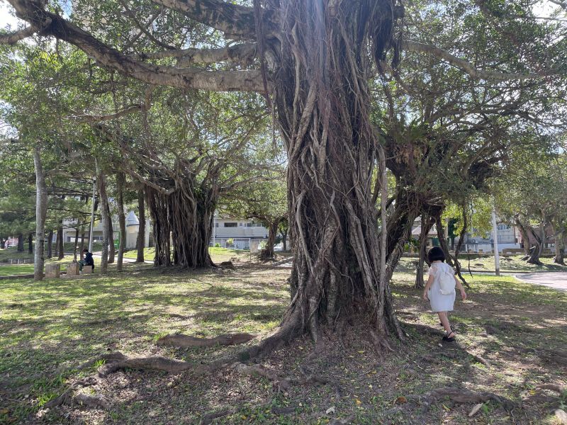 沖縄へ